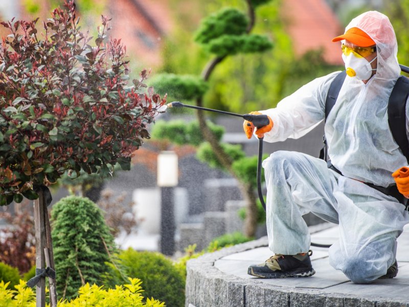 Aşkale Haşere İlaçlama